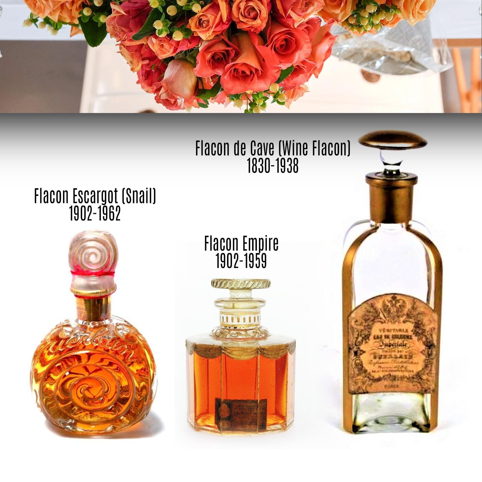 Flacon de Cave (Wine Flacon), Flacon Empire, Flacon Escargot (Snail) - Tresors INPI de RUNWAY REVISTA