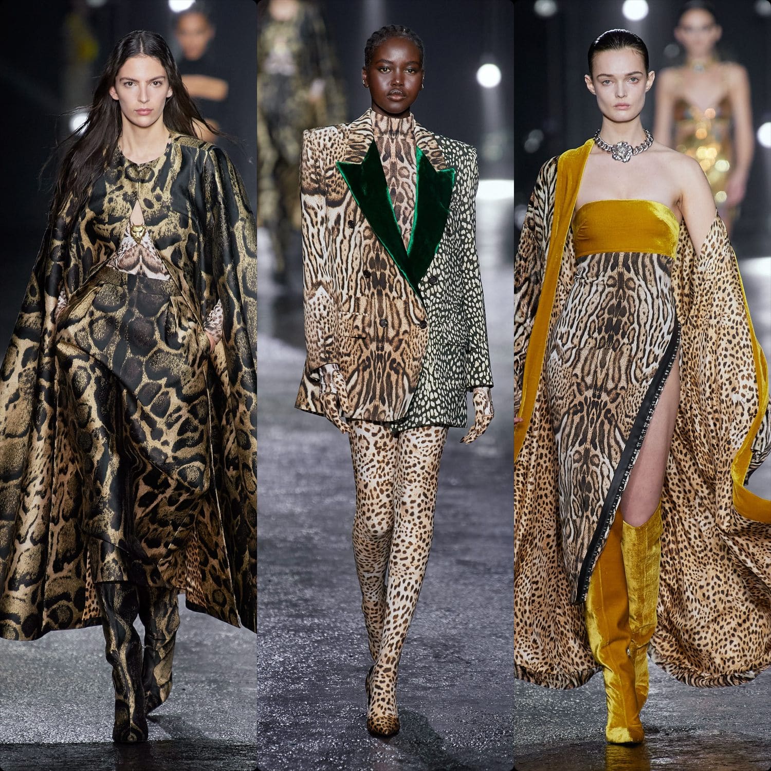 Roberto Cavalli Осень Зима 2022-2023 Милан Runway Журнал