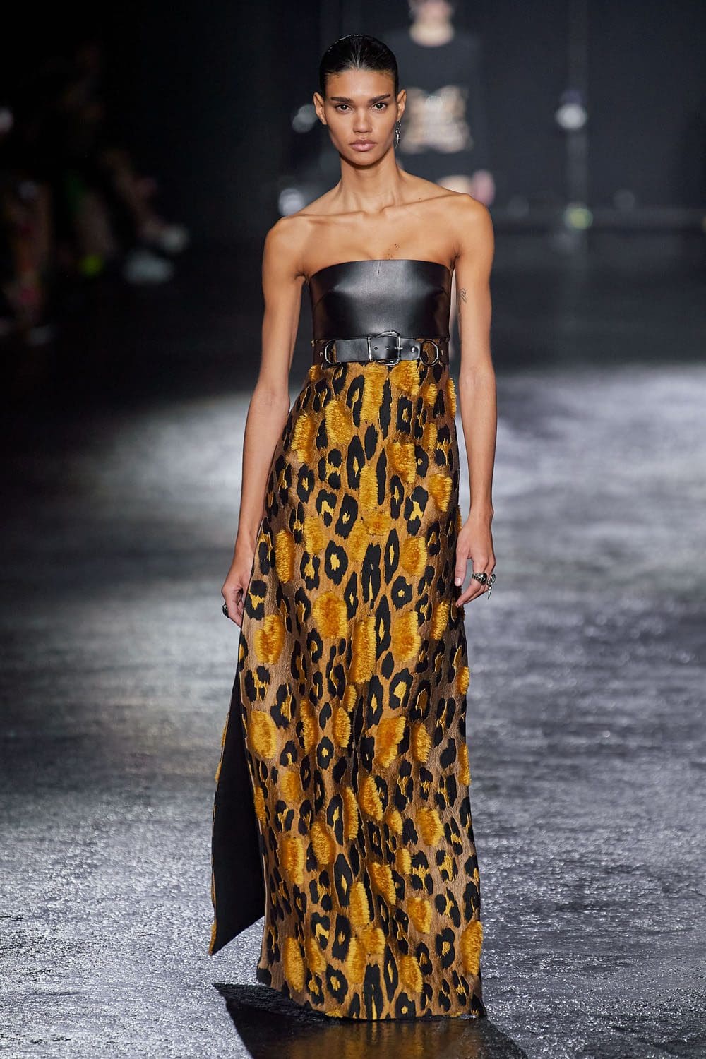 Roberto Cavalli Otoño Invierno 2022-2023 Milán Runway Revista