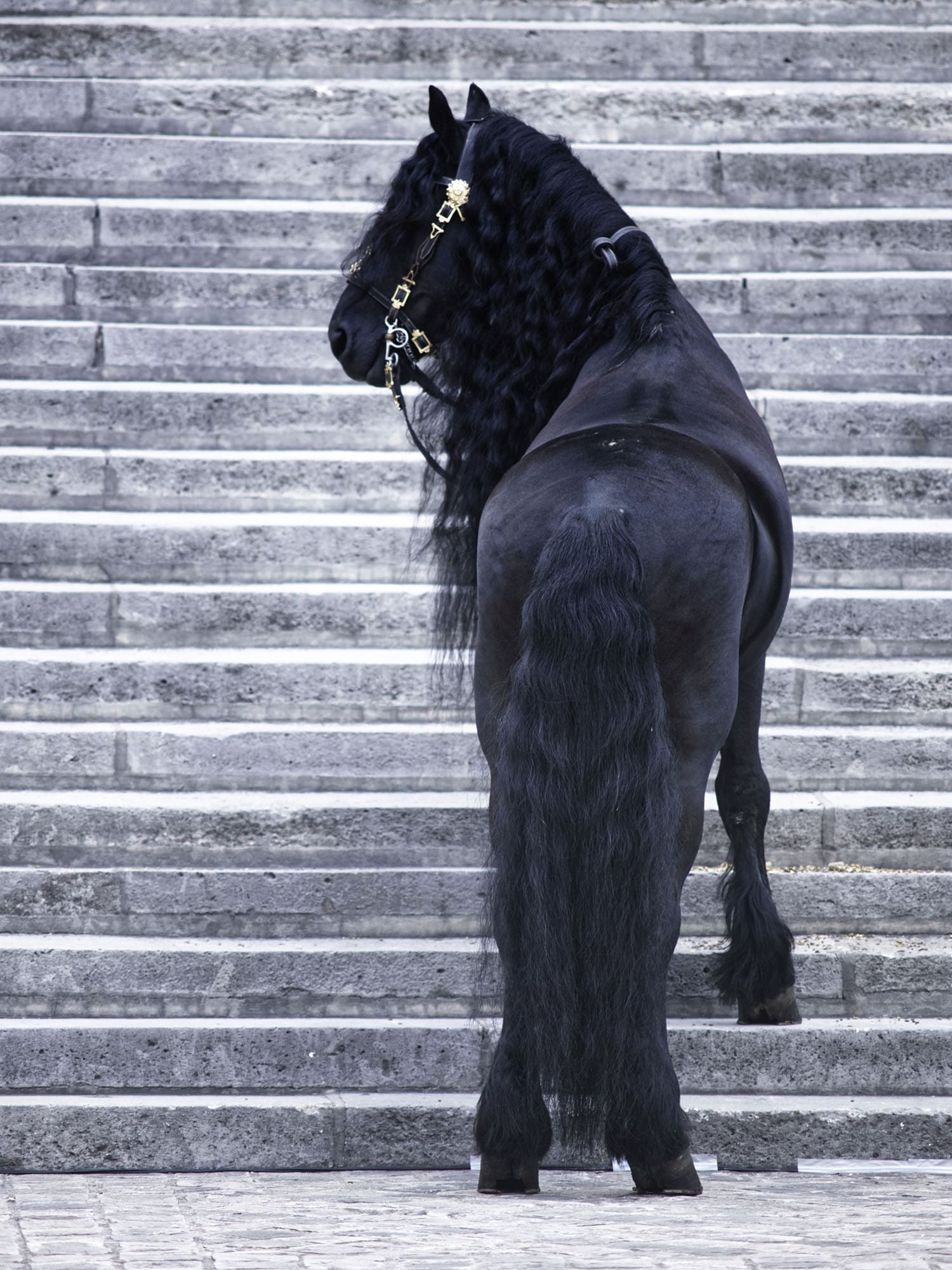 Franck Sorbier Haute Couture Outono Inverno 2022-2023 Runway revista