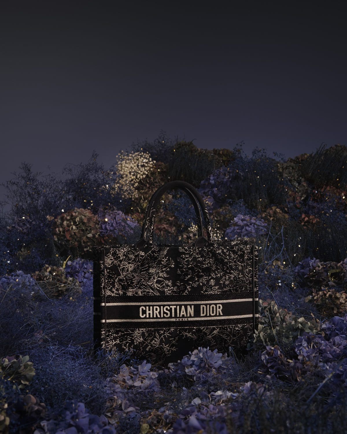 DIOR Natal 2022 Feminino Rose des Vents © Elina Kechechiva1