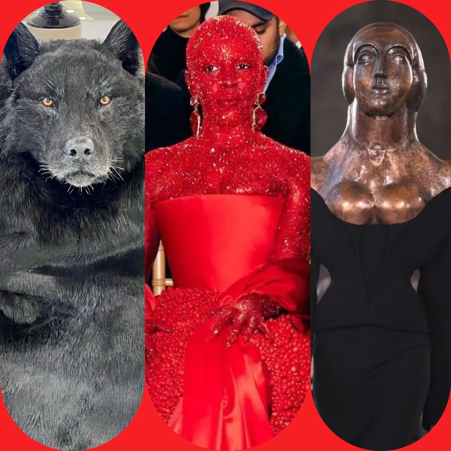 2 Schiaparelli Taxidermia Alta Costura Primavera Verano 2023 Runway Revista