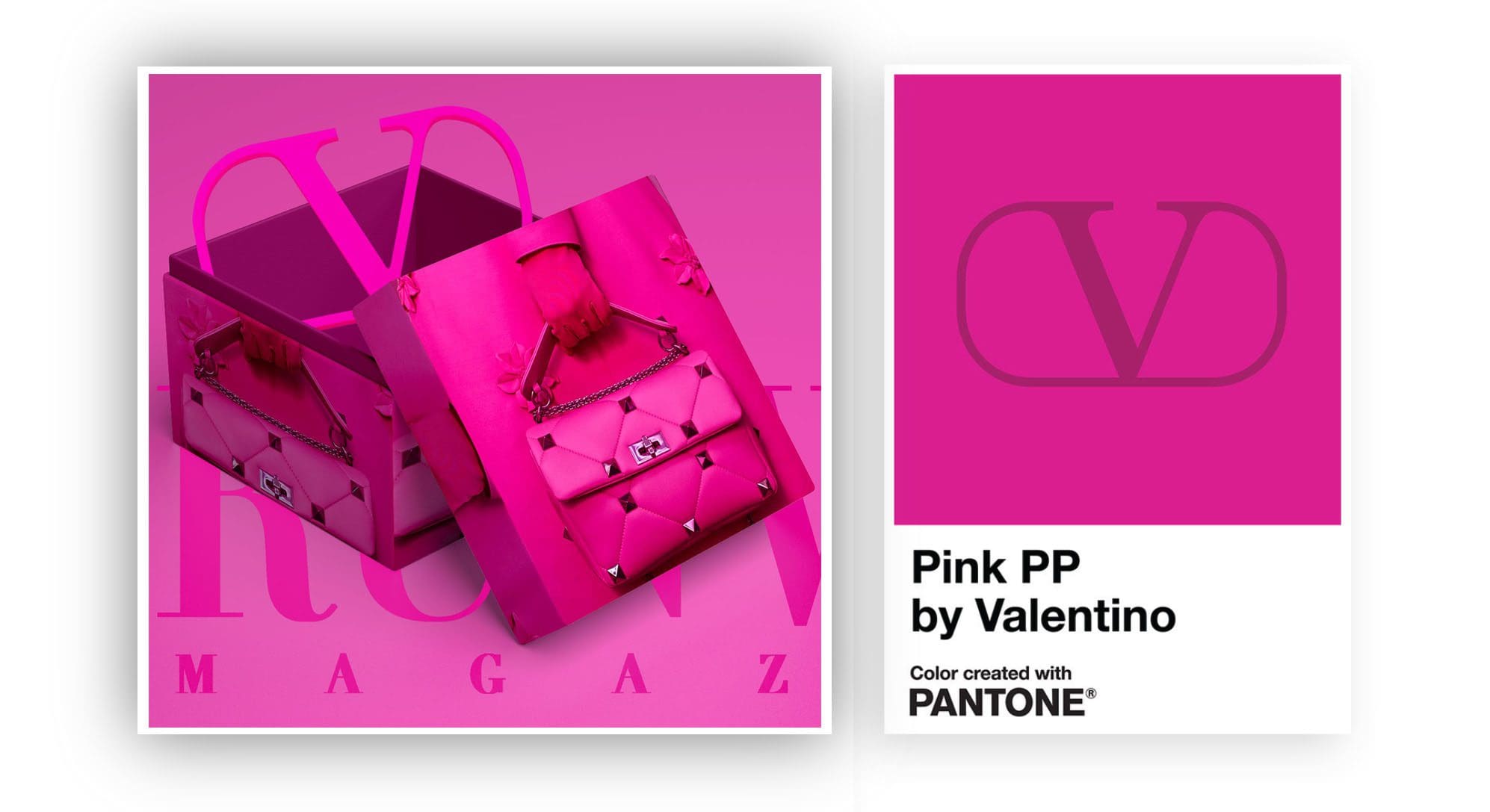 Valentino PP Rosa Pantone