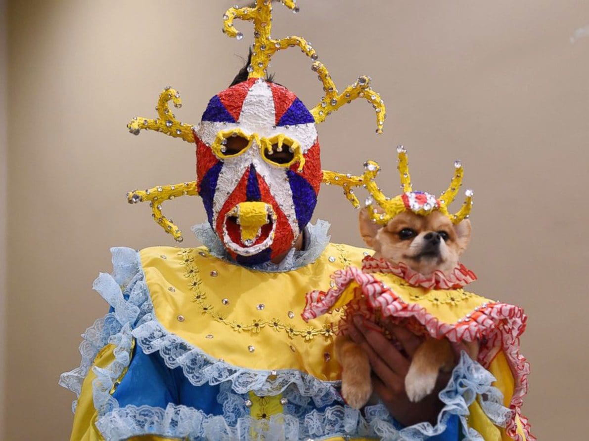 New York Pet Fashion Show di Runway Magazine New York Pet Fashion Show di Runway Magazine