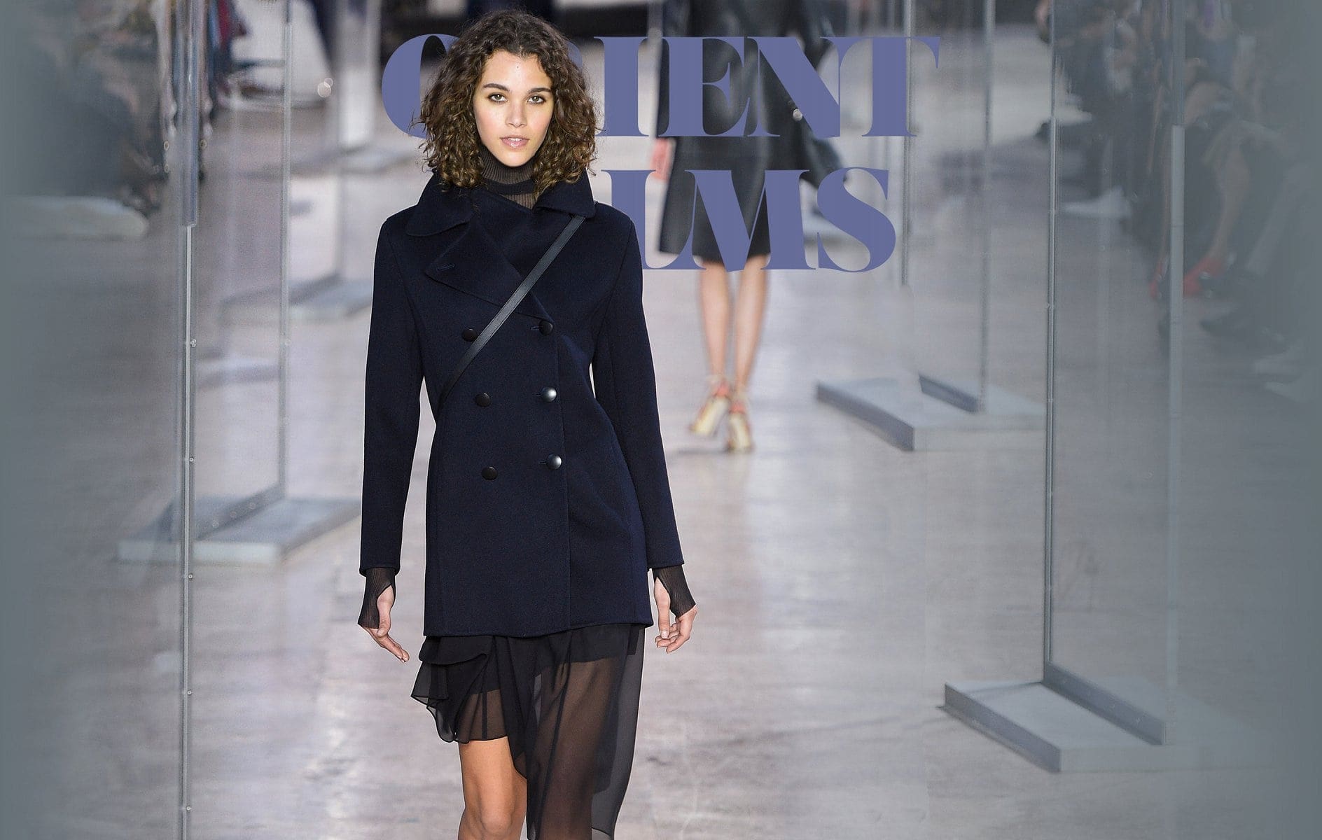 AKRIS Неделя моды в Париже осень-зима 2017-2018, автор: Runway Журнал
